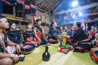 Thực hiện nghi lễ xin dâu. (Ảnh: Khánh Hòa/TTXVN)