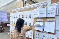 Một cử tri trẻ tuổi tìm hiểu thông tin về các ứng cử viên được giới thiệu tại điểm bầu cử. (Ảnh: Đỗ Sinh/TTXVN)