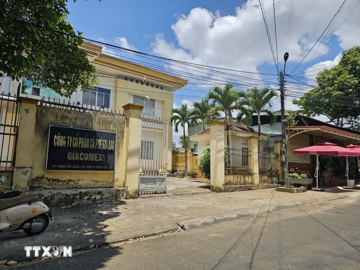 Kiến nghị chuyển hồ sơ công an điều tra sai phạm trong cổ phần hóa công ty cà phê