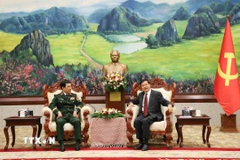 Đại tướng Phan Văn Giang chào xã giao Tổng Bí thư, Chủ tịch nước Lào Thongloun Sisoulith (phải) . (Ảnh: Xuân Tú/TTXVN)