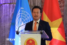 Đại sứ Mai Phan Dũng. (Ảnh: Anh Hiển/TTXVN)