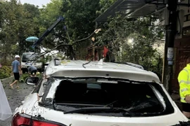 Lực lượng chức năng tỉnh Lào Cai khắc phục hậu quả do ảnh hưởng của bão số 10. (Ảnh: TTXVN phát)