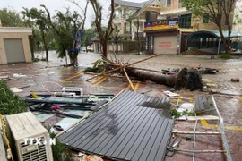 Cây cối bị quật ngã, mái tôn bay, nước ngập và một số phương tiện bị hư hỏng khi bão số 10 đổ bộ tỉnh Nghệ An. (Ảnh: Trịnh Duy Hưng/TTXVN)