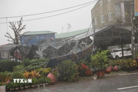 Cảnh tàn phá do bão số 10 tại phường Vinh Phú, Nghệ An. (Ảnh: Văn Tý/TTXVN)