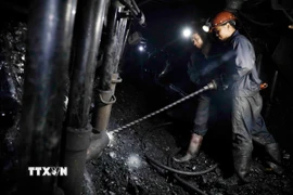 (Ảnh minh họa. Trần Việt/TTXVN)