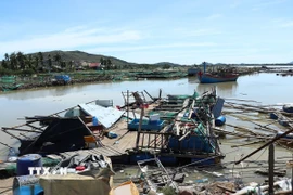 Một bè nuôi trồng thủy sản ở tỉnh Đắk Lắk bị thiệt hại nặng nề. (Ảnh: Tuấn Anh/TTXVN)