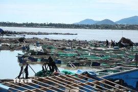 Ô lồng nuôi trồng thủy sản của người dân xã Xuân Cảnh bị hư hỏng nặng gây thiệt hại lớn cho người dân. (Ảnh: Tuấn Anh/TTXVN)