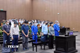 Các bị cáo tại phiên tòa xét xử. (Ảnh: Phạm Kiên/TTXVN)