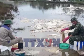 Thông tin ban đầu về sự cố tràn dầu ở Quảng Ngãi