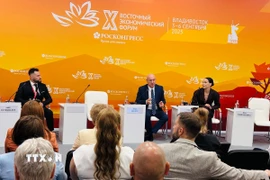 Các phiên thảo luận chuyên đề trong khuôn khổ Diễn đàn Kinh tế phương Đông lần thứ 10. (Ảnh: Tâm Hằng/TTXVN)