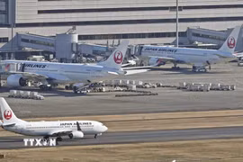 Máy bay của hãng hàng không Japan Airlines tại sân bay Haneda ở Tokyo, Nhật Bản. (Ảnh: Kyodo/TTXVN)