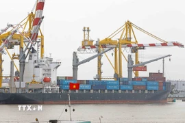 Tuổi trung bình của đội tàu biển tại Việt Nam đang cao hơn so với toàn cầu. (Ảnh: Trần Việt/TTXVN)