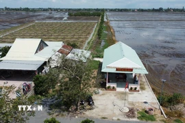 Nhà văn hóa ấp 3 và một chuồng bò “mọc lên” khiến lối đi chung ra đồng ruộng của người dân ở xã Gáo Giồng, huyện Cao Lãnh bị chắn lấp. (Ảnh: Nhựt An/TTXVN)