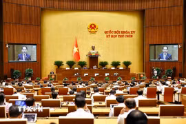 Quang cảnh phiên họp. (Ảnh: Doãn Tấn/TTXVN)