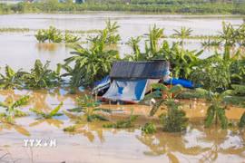 Nước sông Hồng đã dâng cao khiến nhiều khu vực bãi giữa sông Hồng Hà Nội bị cô lập. (Ảnh: Phan Phương/TTXVN)