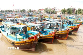 Trung tâm Đăng kiểm tàu cá.