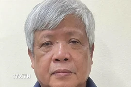 Bị can Nguyễn Linh Ngọc, cựu Thứ trưởng Bộ Tài nguyên và Môi trường. (Ảnh: TTXVN phát)