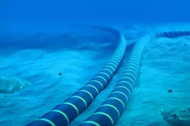 Ảnh minh họa. (Nguồn: Shutterstock)