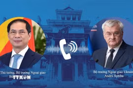 Phó Thủ tướng, Bộ trưởng Ngoại giao Bùi Thanh Sơn. (Ảnh: TTXVN phát)