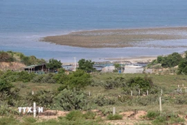 Nhiều hộ dân sinh sống, sản xuất tại vùng lõi dự án Nhà máy điện hạt nhân Ninh Thuận 1 (xã Phước Dinh) vẫn chưa được giải quyết để di dời. (Ảnh: Công Thử/TTXVN)