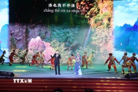 Biểu diễn nghệ thuật tại chương trình. (Ảnh: Trần Lê Lâm/TTXVN)