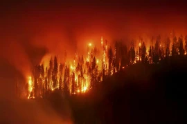 Đám cháy Garnet đang bùng cháy ở Rừng Quốc gia Sierra. (Nguồn: AP)