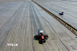 Cơ giới hóa trong khâu gieo sạ đối với diện tích tham gia mô hình canh tác lúa chất lượng cao, giảm phát thải tại huyện Tháp Mười (tỉnh Đồng Tháp). (Ảnh: Nhựt An/TTXVN)