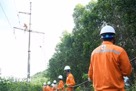 Hai đường dây mới sẽ giúp tăng cường cấp điện cho phụ tải khu vực 6 xã nằm ở phía Đông Nam của tỉnh Lâm Đồng và khu vực lân cận. (Ảnh: TTXVN phát)