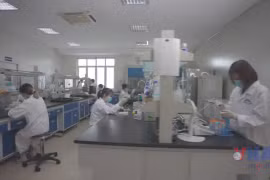 Vaccine dịch tả lợn châu Phi nâng cao vị thế nông nghiệp Việt