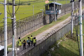 Khách du lịch đi bộ dọc tuyến đường mòn hòa bình DMZ, Paju, Hàn Quốc. (Ảnh: Yonhap/TTXVN)