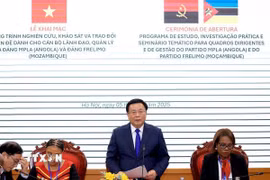 Giáo sư, Tiến sỹ Nguyễn Xuân Thắng, Ủy viên Bộ Chính trị, Giám đốc Học viện Chính trị Quốc gia Hồ Chí Minh, Chủ tịch Hội đồng Lý luận Trung ương phát biểu. (Ảnh: Tuấn Anh/TTXVN)
