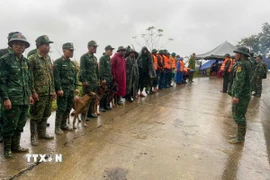 Triển khai lực lượng tìm kiếm nạn nhân mất tích trong vụ sạt lở ở xã biên giới Hùng Sơn với sự hỗ trợ của chó nghiệp vụ. (Ảnh: Bộ Tư lệnh Quân khu 5/TTXVN phát)