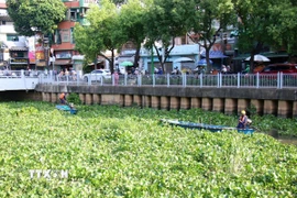 Lực lượng thu gom rác thải trên kênh Nhiêu Lộc-Thị Nghè. (Ảnh: Tiến Lực/TTXVN)