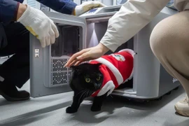 Một người chủ đón chú mèo của mình ra khỏi lồng vận chuyển thú cưng thông minh tại ga tàu Vũ Hán, thành phố Vũ Hán, tỉnh Hồ Bắc, Trung Quốc. (Nguồn: Xinhua)