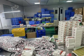 Các sản phẩm giả chủ yếu là sản phẩm bổ sung collagen, vitamin, thuốc bổ xương khớp, tiêu hóa... (Ảnh: TTXVN phát)