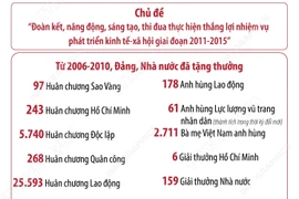 Đại hội thi đua yêu nước toàn quốc lần thứ VIII năm 2010