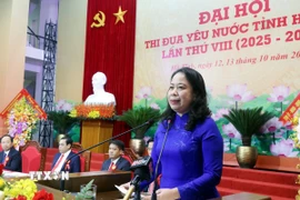 Phó Chủ tịch Võ Thị Ánh Xuân phát biểu tại Đại hội. (Ảnh: Công Tường/TTXVN)
