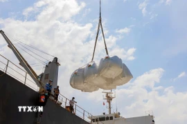 Bốc xếp gạo xuất khẩu. (Ảnh: TTXVN)