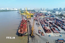 Hoạt động bốc dỡ container tại Cảng Tân Thuận - Công ty Cổ phần Cảng Sài Gòn. (Ảnh: Quốc Khánh/TTXVN)