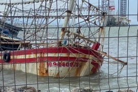 Tìm kiếm thuyền viên mất tích, cứu hộ tàu cá mắc cạn trên biển Quảng Ngãi