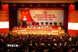 Quang cảnh Đại hội. (Ảnh: Đình Quân/TTXVN)