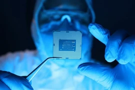 Ảnh minh họa. (Nguồn: Shutterstock)