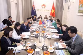Đối thoại Quan chức cấp cao Việt Nam-Australia lần thứ hai. (Ảnh: TTXVN phát)