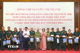 Phó Chủ tịch Quốc hội Nguyễn Thị Thanh trao quà cho thương binh, bệnh binh, người có công với cách mạng, thân nhân gia đình liệt sỹ. (Ảnh: Xuân Tư/TTXVN)