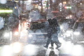 Khu vực đô thị Seoul, tỉnh Gangwon và tỉnh Nam Chungcheong có lượng tuyết rơi lên tới 5cm. (Nguồn: The Korea Times)