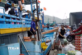 Ngư dân đưa nhu yếu phẩm lên tàu trước khi ra khơi. (Ảnh: Đình Quân/TTXVN)
