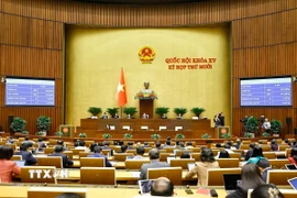 Quốc hội biểu quyết thông qua Luật Quy hoạch (sửa đổi). (Ảnh: Doãn Tấn/TTXVN)