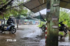 Mưa tại Huế và khu vực duyên hải Nam Trung Bộ nguy cơ có cường độ lớn trên 100 mm/3h. (Ảnh: Mai Trang/TTXVN)