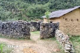 Bờ rào đá bao quanh nhà trình tường của đồng bào người Mông ở thôn Lũng Cẩm. (Ảnh: Nguyễn Chiến/TTXVN)