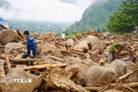 Người dân tranh thủ chặt củi mang về nhà. (Ảnh: Nguyễn Oanh/TTXVN)